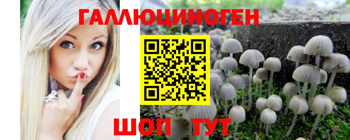 закладки  Галлюциногенные грибы ЛСД  Касимов  Вход с VPN  Галлюциногенные грибы прущие грибы 